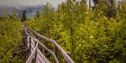 Marcher Sur Le Laps De Temps De Chemin