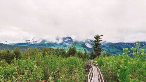 Time Lapse Video Of Nature