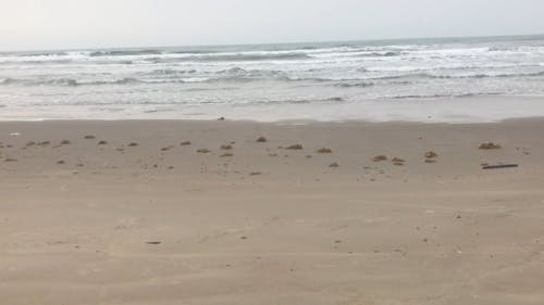 Horseback Riding At The Beach