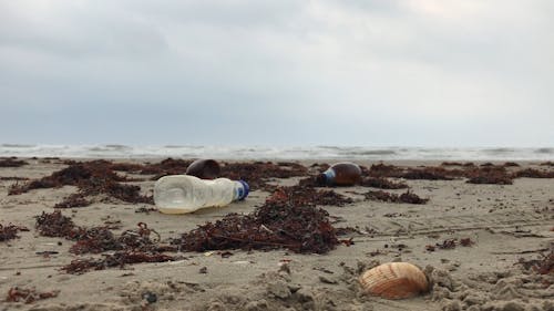 Empty Bottles On Shore
