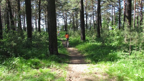 Person Cycling