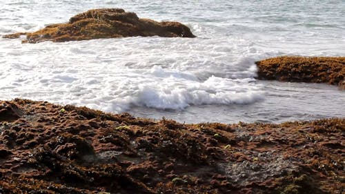 Waves Crashing On Rocks On Seashore