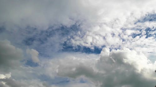 Cumulus Clouds