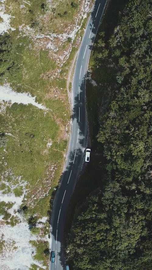 Aerial Footage of a Road and Trees