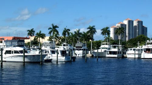 Boats Docked 