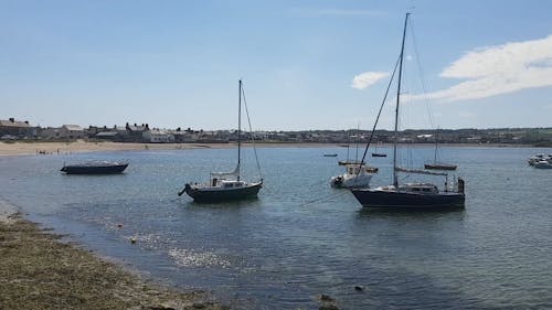 Yachts In The Sea