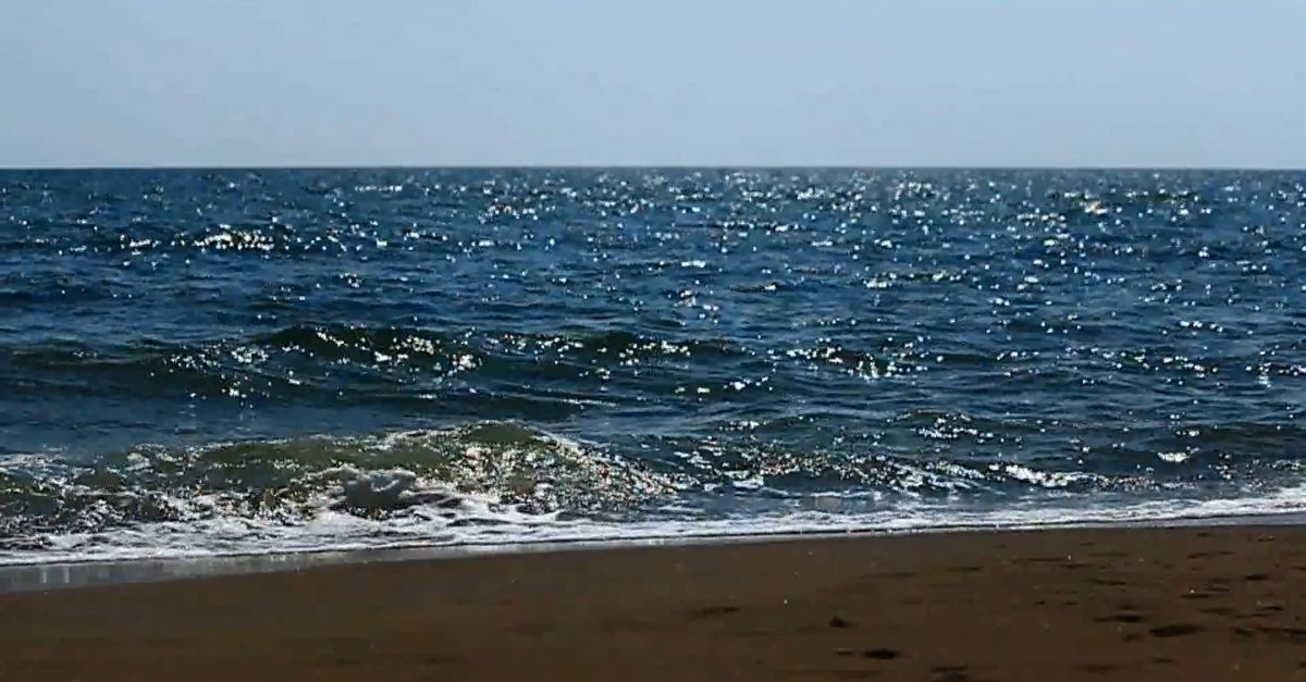 Strong Beach Strong Beach Waves Hitting Shore Free Stock Video Footage, Royalty-Free ...