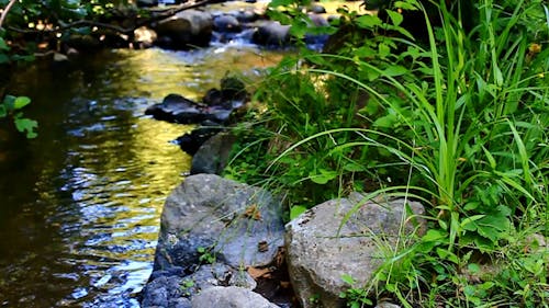 River Water Flowing