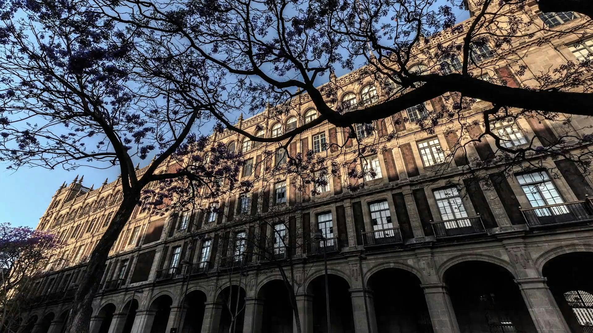 30+ Amazing Apartment Videos Pexels · Free Stock Videos