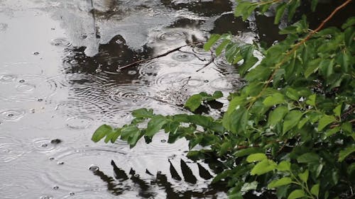 Raindrops Pouring