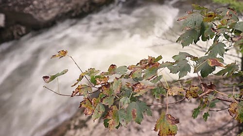 Video Of Waterfall 