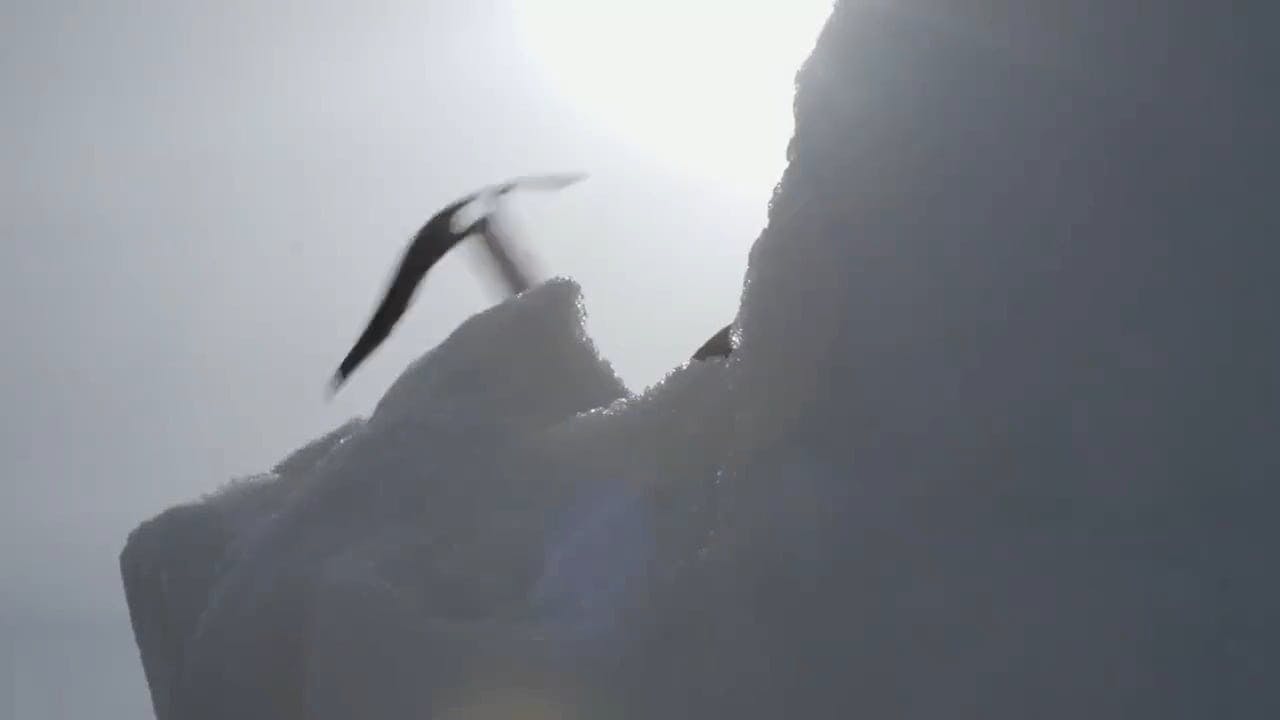 Video Footage Of People Climbing A Mountain Free Stock Video Footage, RoyaltyFree 4K & HD Video