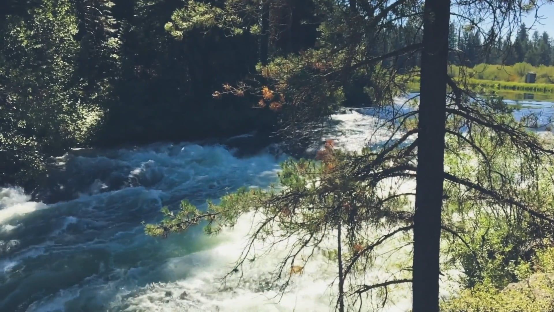Video by Vimeo