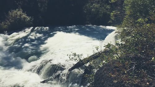 自然の滝の映像
