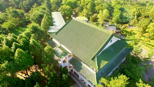 Drone Shot Roof And Trees