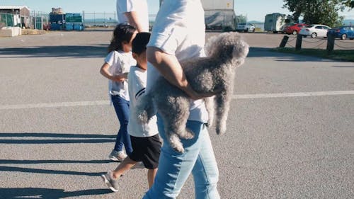 A Family Holding Each Other's Hands while Walking Outdoors