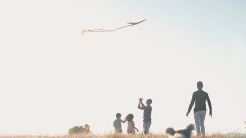 Happy Family Having Fun Playing with Kite in the Grass Field