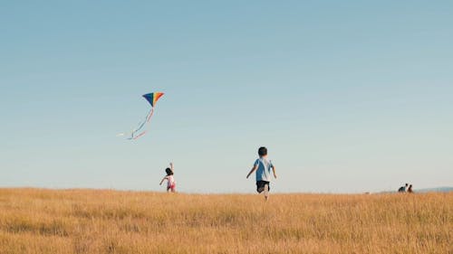 Kids Playing Kite in an Open Field