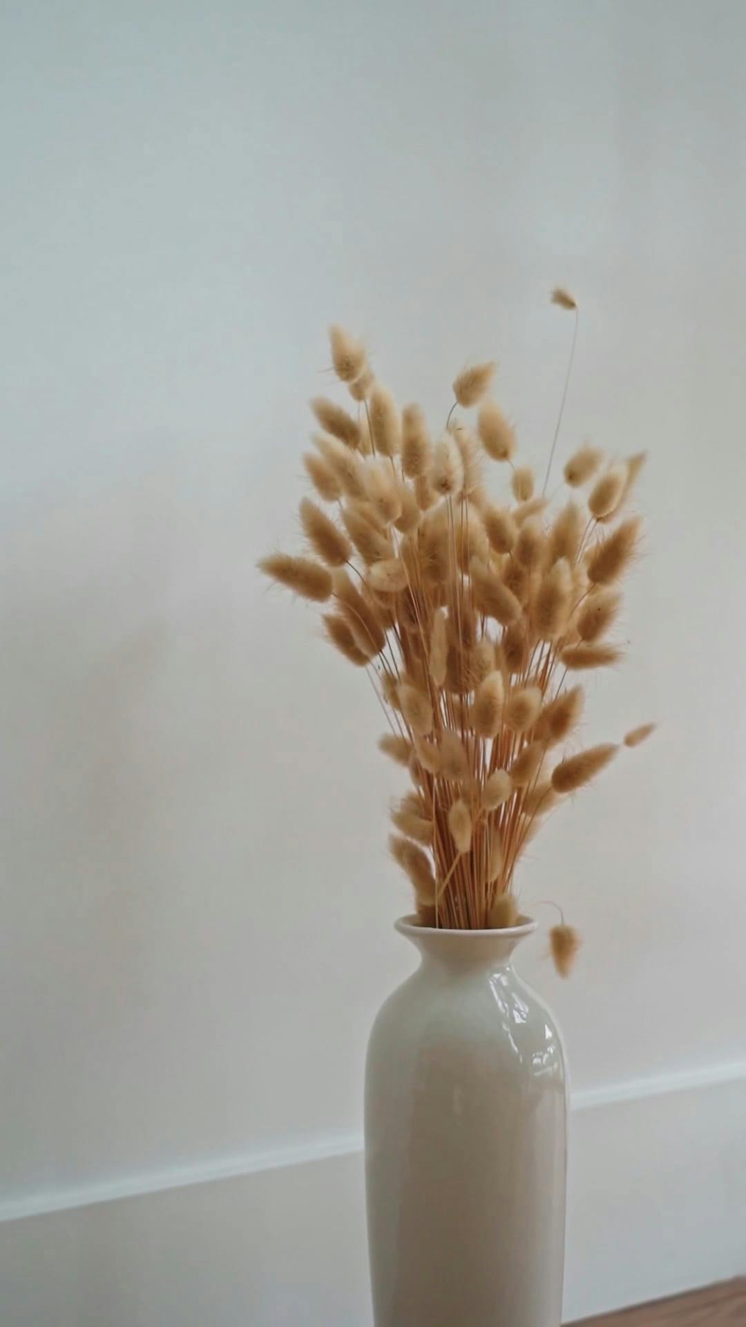 Dried Grass On A Vase · Free Stock Video