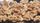 walnuts