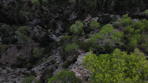 Aerial Footage of a Valley