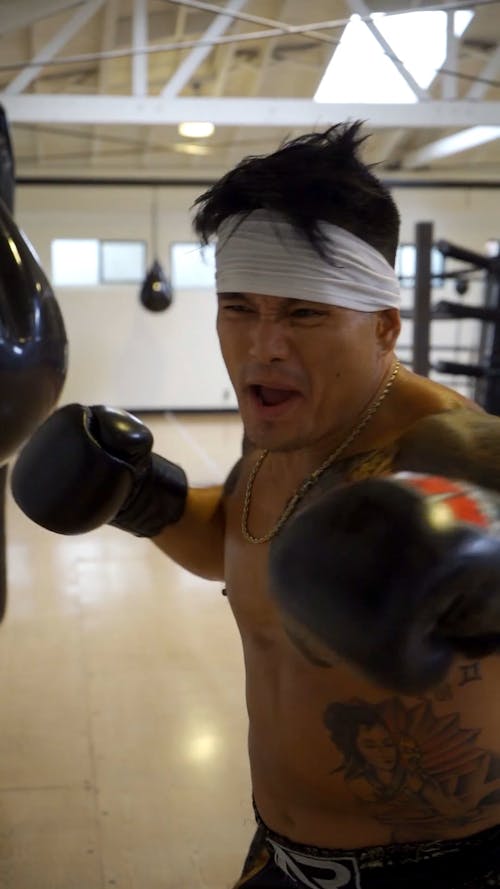 Boxer Training Using a Punching Bag