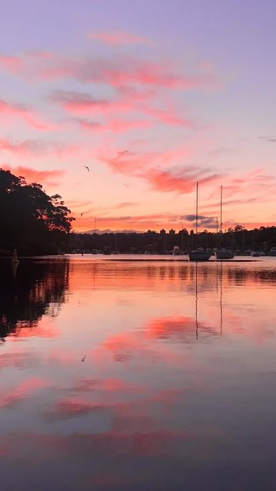 Kate Branch's nature timelapse video