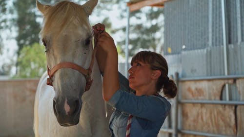 Woman Tightening Lead Rope of the Horse