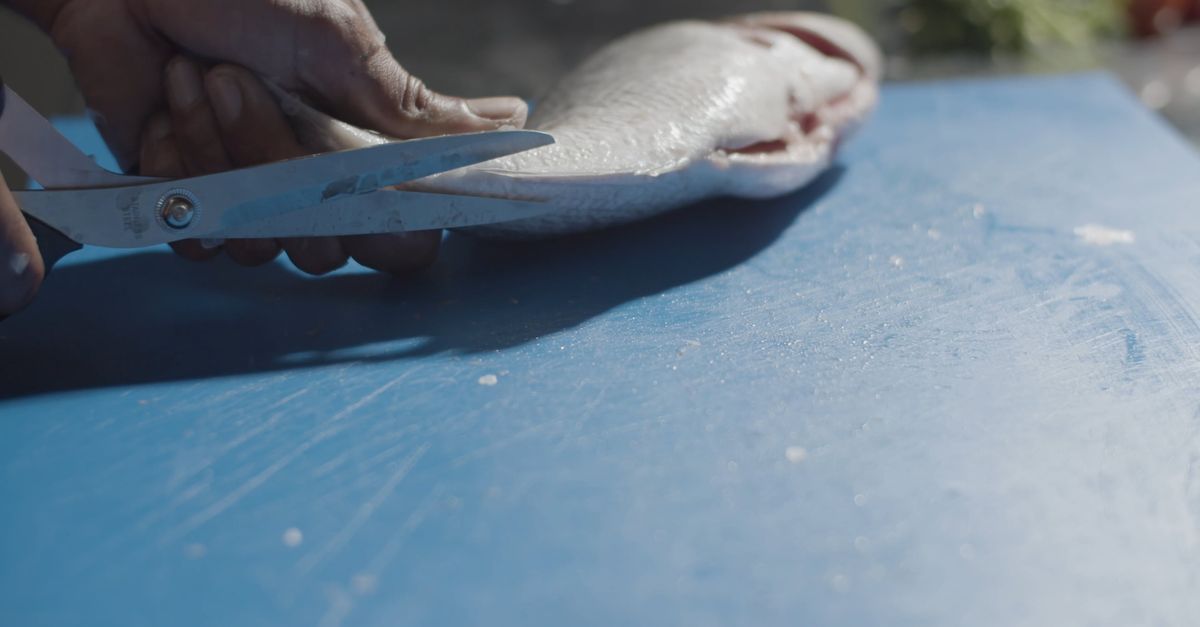 A Person Removing Fish Fins Free Stock Video Footage, Royalty-Free 4K ...