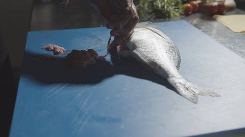 A Person Cleaning a Fresh Fish