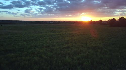 Drone Footage Of Green Field With View Of Sunset