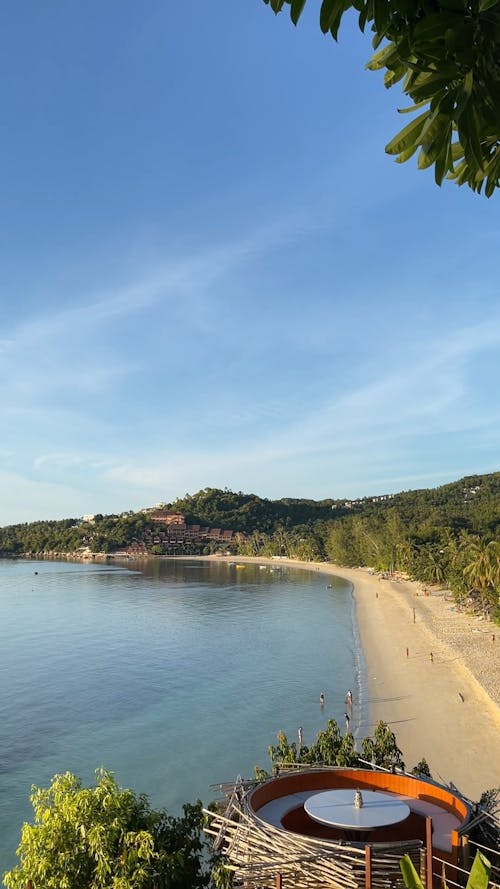 People at a Tropical Beach