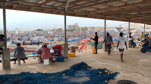 People at the Fish Market