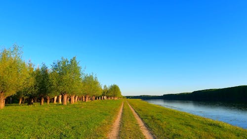 Unpaved Pathway Beside a River