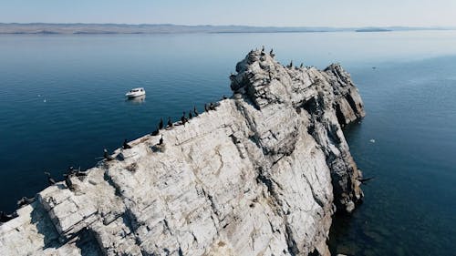 Drone Footage of Birds on a Coastal Landform