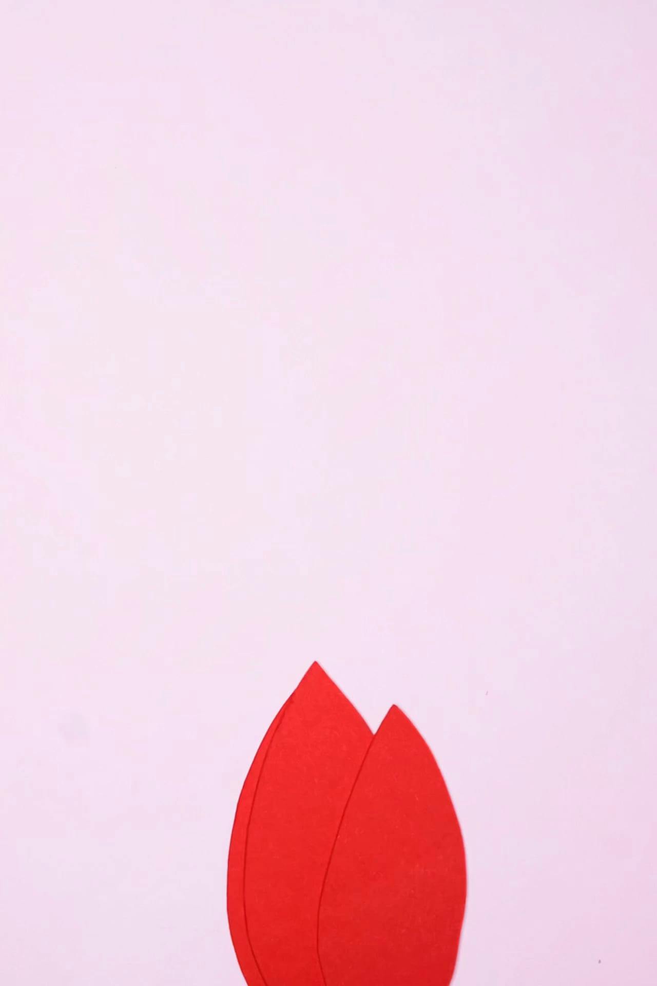 Video by Nadezhda Moryak