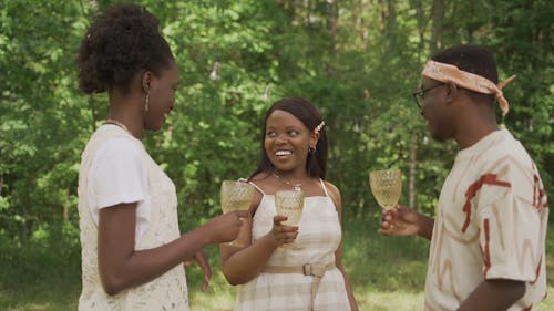 Friends Having a Conversation While Having Drinks