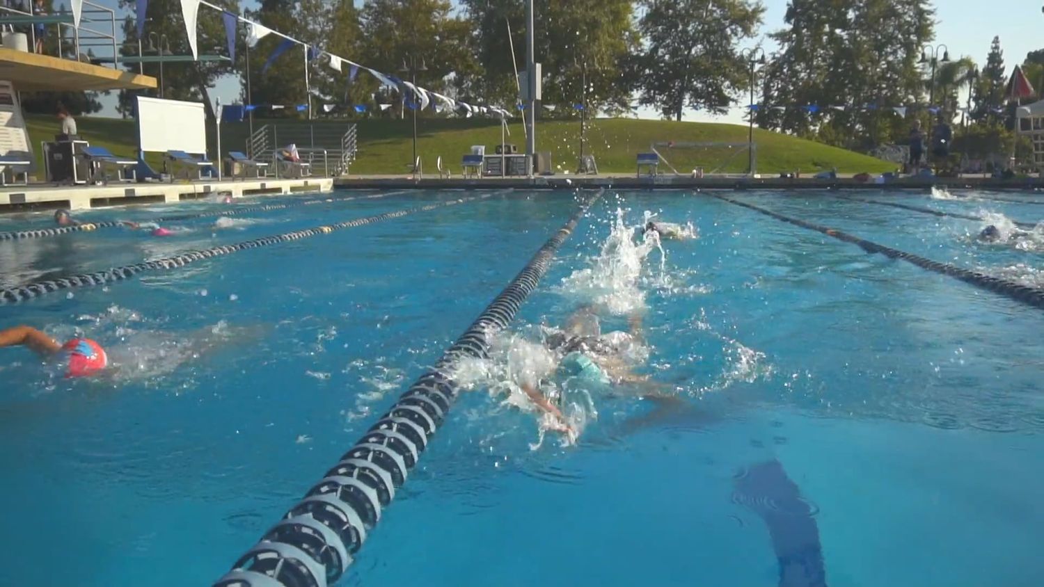 Swim Race Videos, Download The BEST Free 4k Stock Video Footage & Swim ...