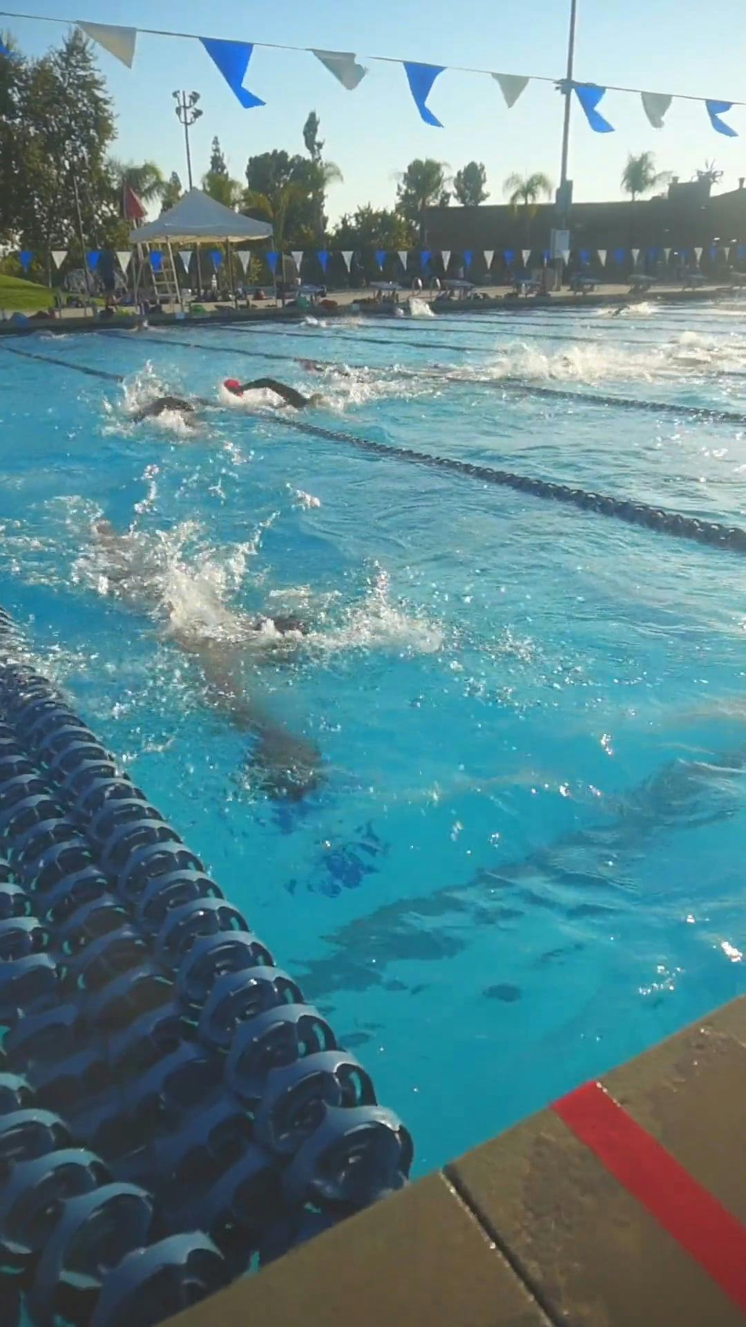 Slow Motion Video of Swimmers Training in a Pool · Free Stock Video