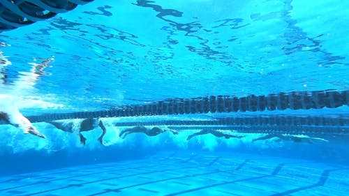 Slow Motion Video of Swimmers Underwater