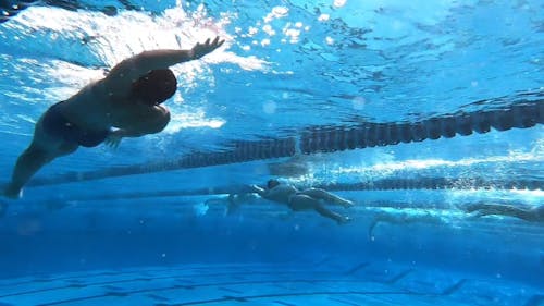 Underwater Footage of People Swimming in a Pool