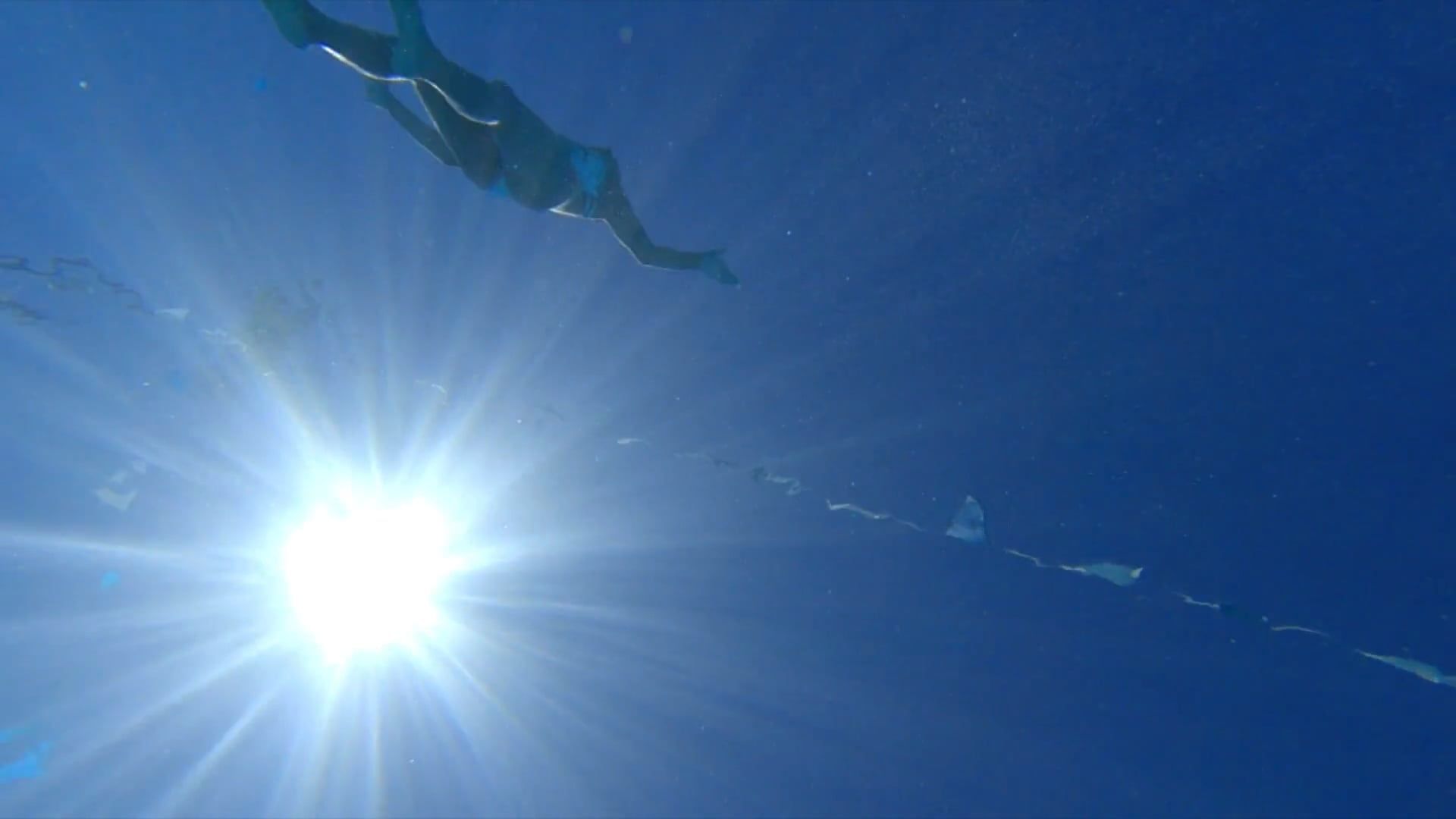 underwater footage of a person swimming in a pool 8686153 — free pexels stock footage