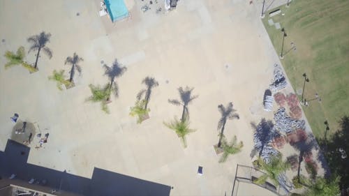 Birds Eye View of a Swimming Pool