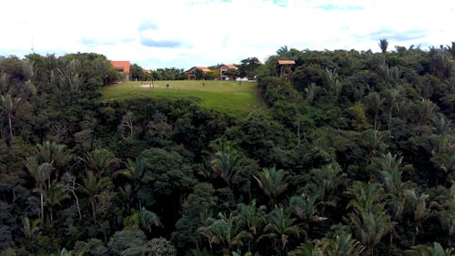 Aerial Footage of a People at the Park