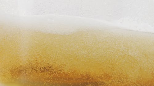 Close Up of a Beer in a Glass 
