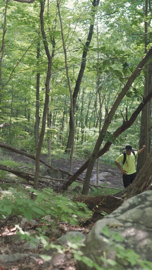 Man Walking Uphill in a Forest