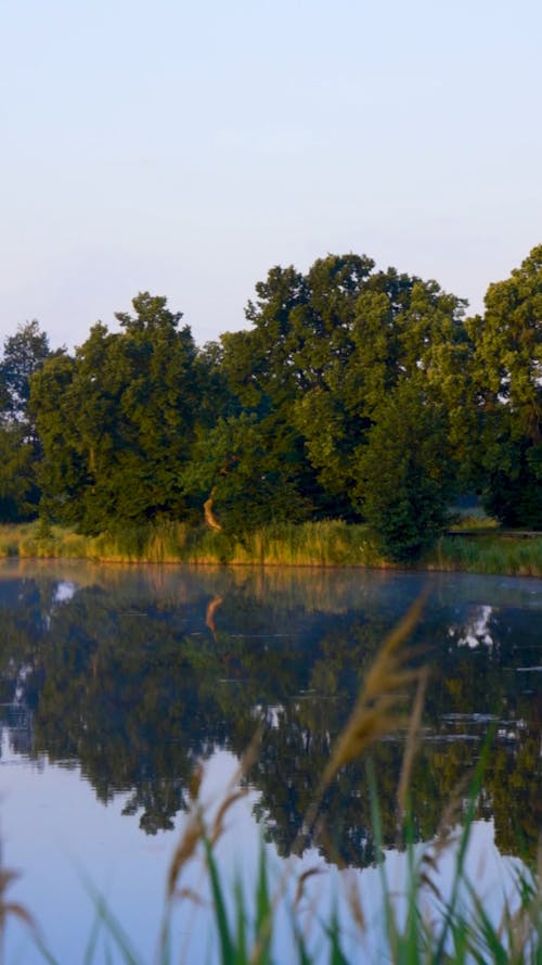 Video Footage of a Misty Lake