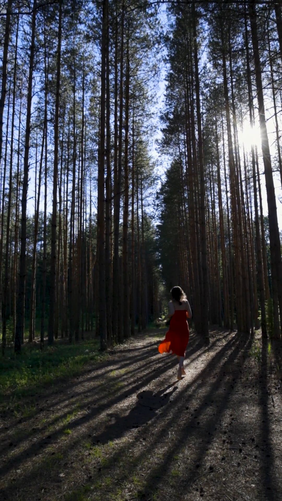 Video by ROMAN ODINTSOV