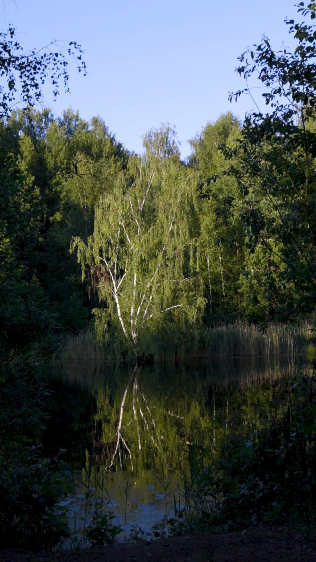 Video by ROMAN ODINTSOV