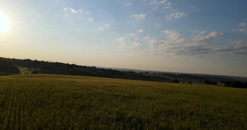 A Drone Footage of the Sky and Grassland